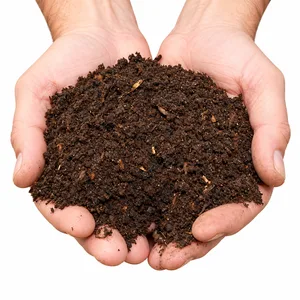Vermicompost Organic Fertilizer – 1 KG