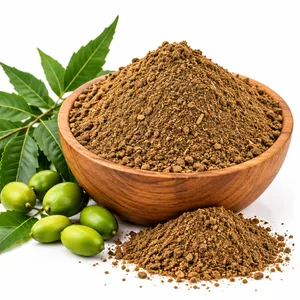 Neem Cake Powder – 1 KG