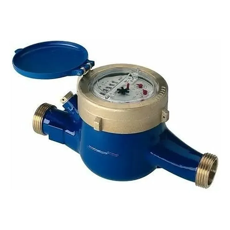 1-Inch Mechanical Water Meter with Brass-Colored Threaded Connections – Blue